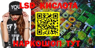 прущие крисы Новозыбков