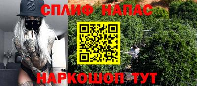 прущие крисы Новозыбков